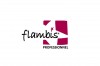    FLAMBIS infrus.ru